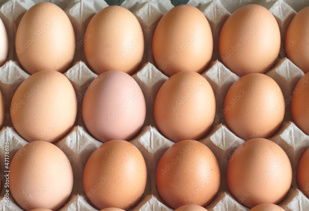 Lot of brown chicken eggs in packaging cells Lot of brown chicken eggs in packaging cells