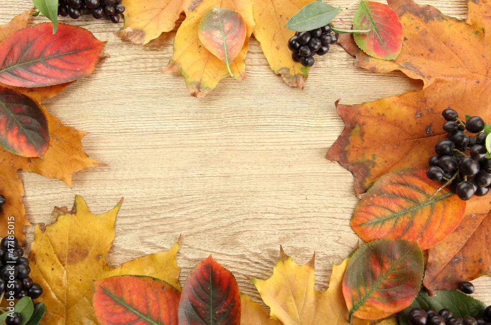 bright autumn leaves and wild berries, on wooden background bright autumn leaves and wild berries, on wooden background