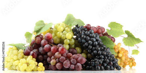 Wallpaper Mural assortment of ripe sweet grapes isolated on white. Torontodigital.ca