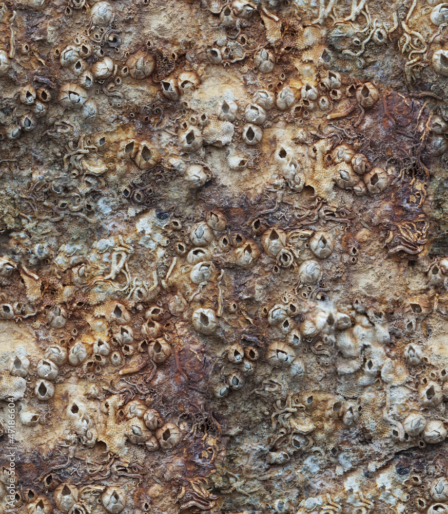 Seamless texture of rusty surface. Seamless texture of rusty surface.