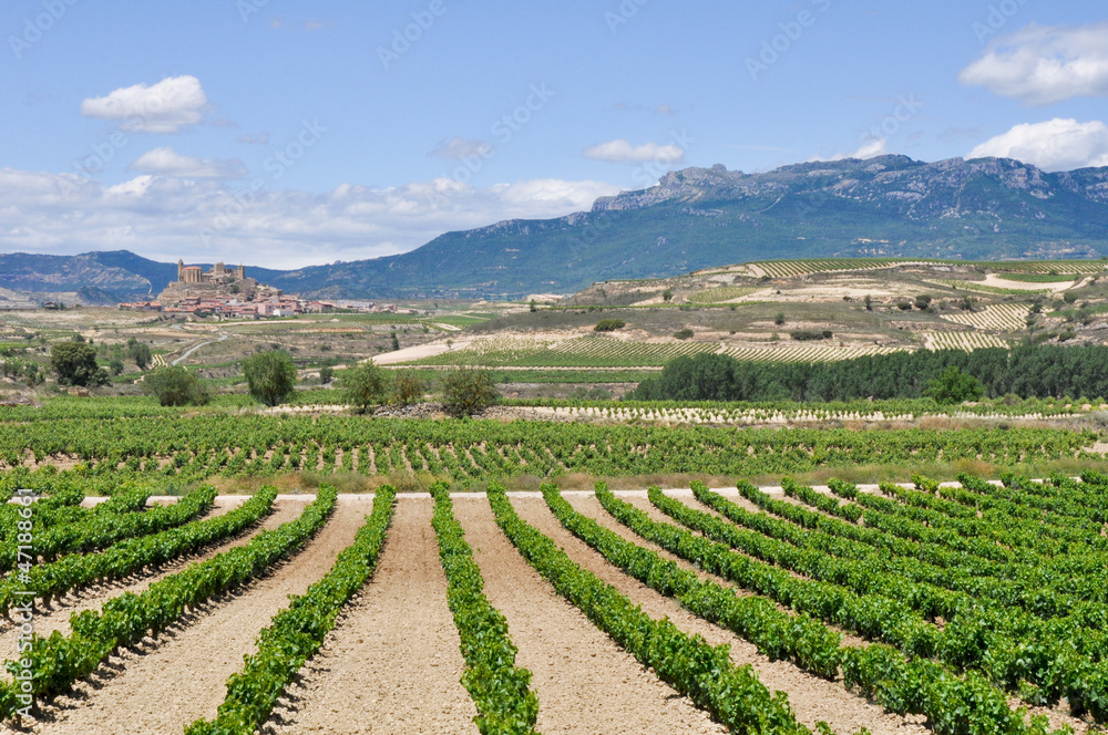 Vineyards and San Vicente de la Sonsierra, La Rioja (Spain)