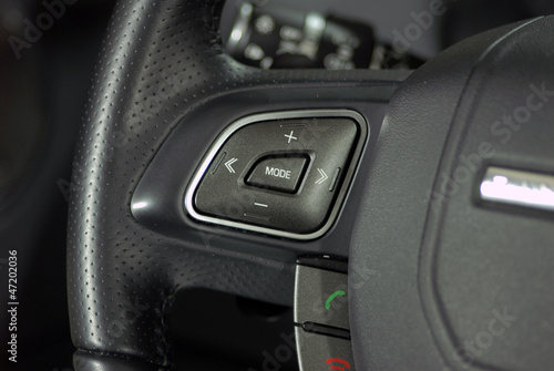 steering wheel button