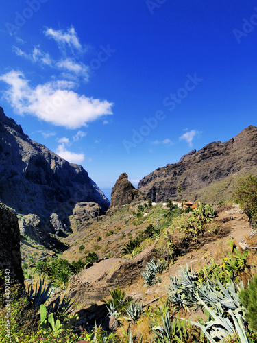 Masca Teno Mountains   Tenerife  Canary Islands  Spain