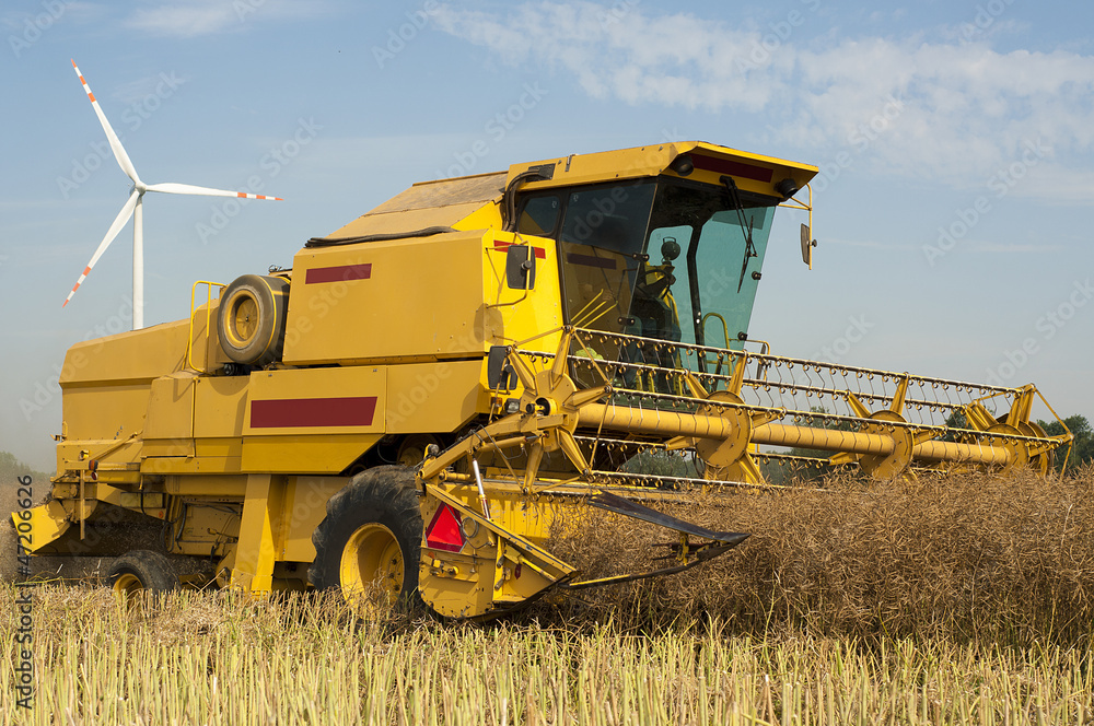 Fototapeta premium Combine harvester