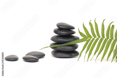fern leaf with spa stones in perfect balance,
