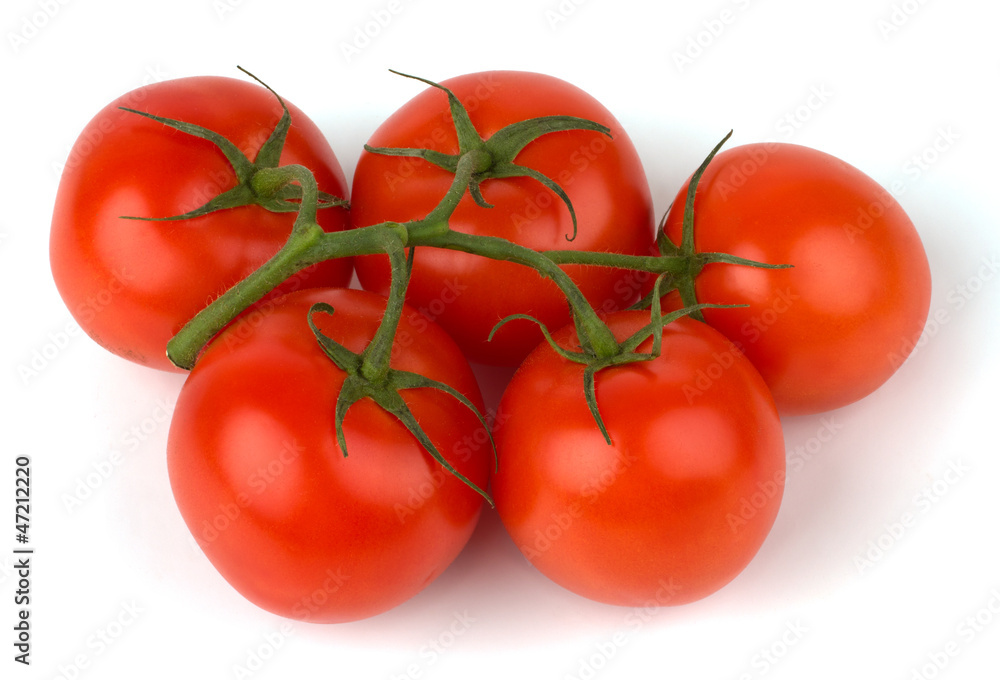 Branch of tomato isolated on white background.