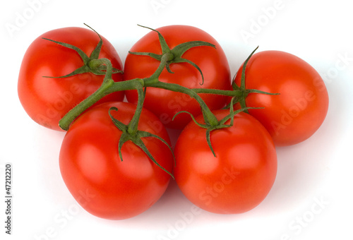 Branch of tomato isolated on white background.