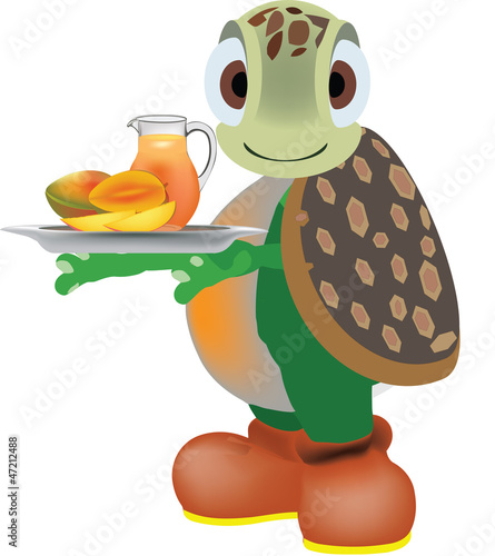 succo di frutta mango