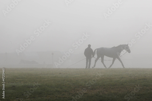 Horse lunging, Blenheim 2012