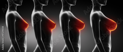 Plakat Woman breast size comparison B,C,D,E