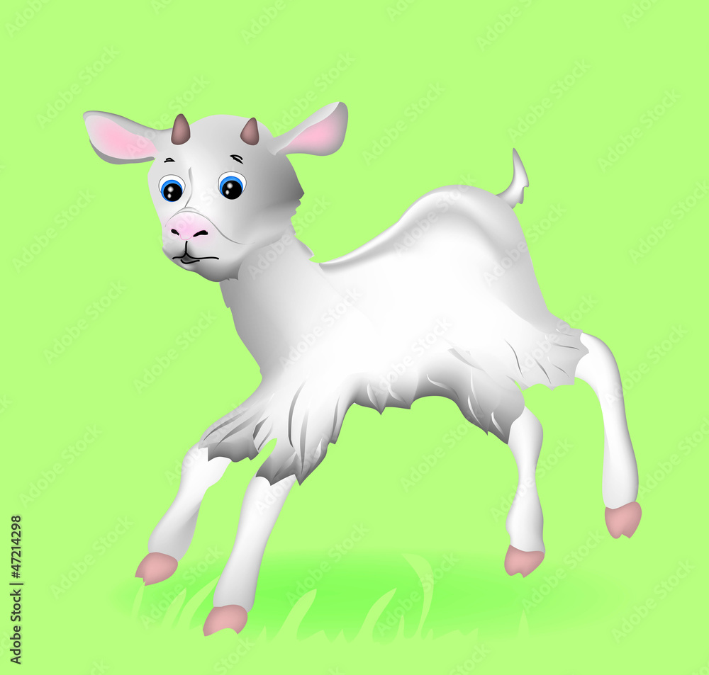 Vector little goat Vector little goat