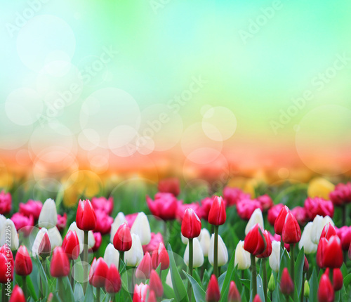 Floral background