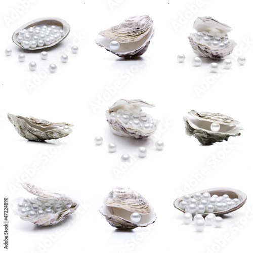 Muscheln und Austern mit Perlen