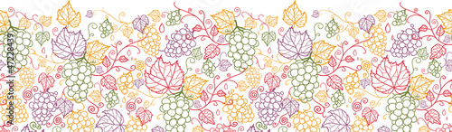 Vector line art grape vines horizontal seamless pattern