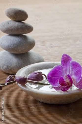 ayurveda feng-shui wellbeing