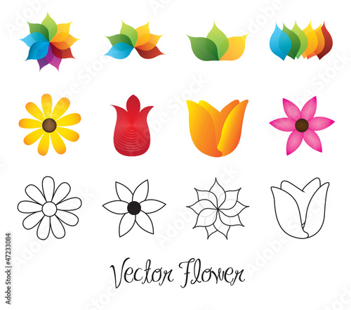 Vector Flower