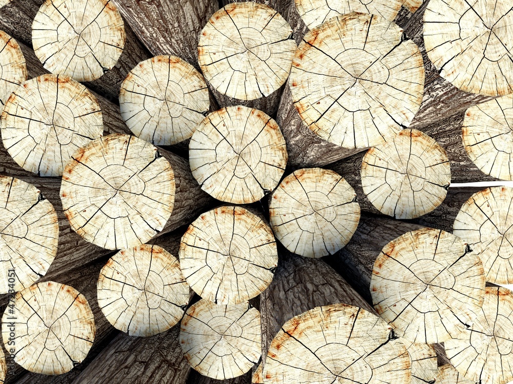 Fototapeta premium Felled tree stumps, 3d background