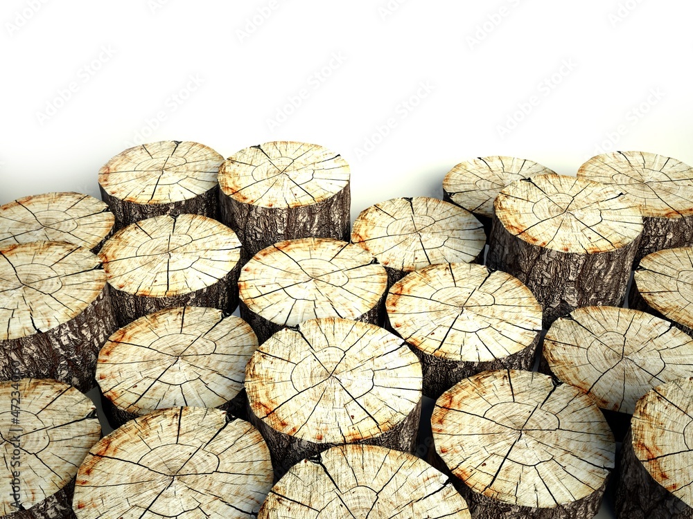 Felled tree stumps, background and copyspace Felled tree stumps, background and copyspace