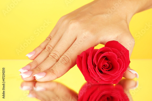 Red rose with woman's hand on yellow background, close-up