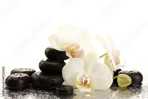 Spa stones and orchid flowers  isolated on white.