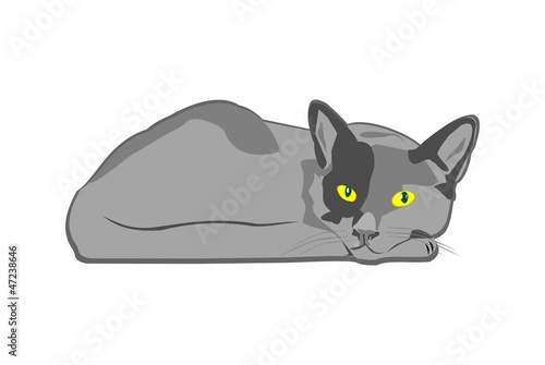 Кошка