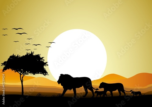 Fototapeta Naklejka Na Ścianę i Meble -  safari of lion family with sunrise background