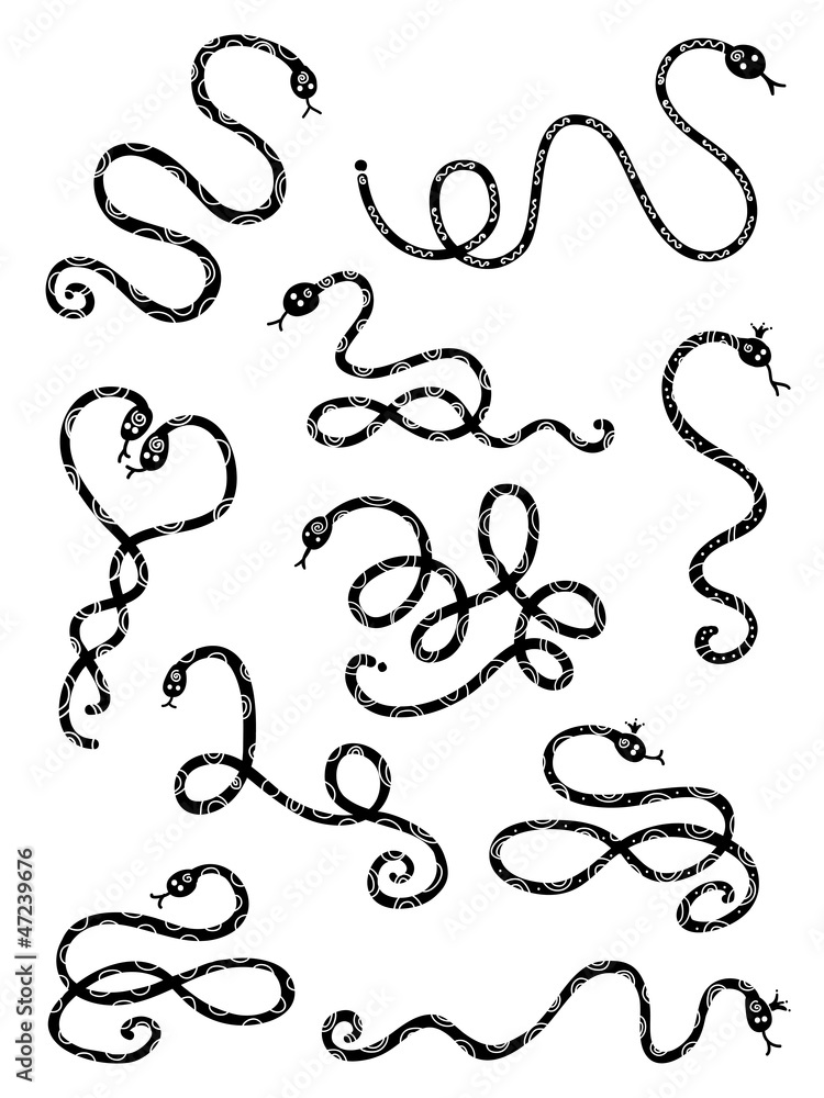Snake silhouette collection for your design Snake silhouette collection for your design