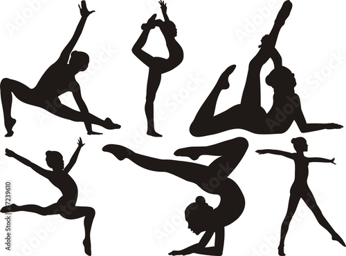 gymnastics and fitness