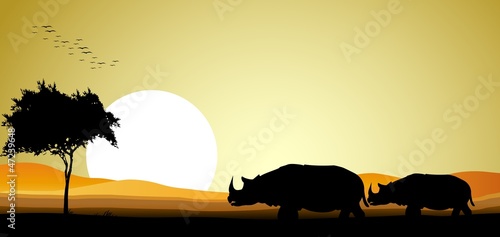 beauty safari of rhino with sunset background