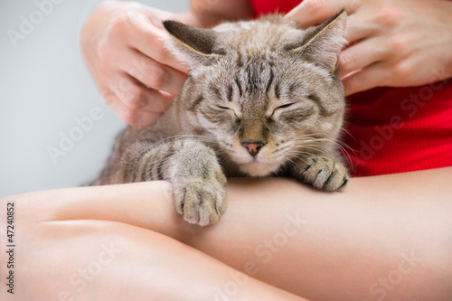 Young woman holding beautiful tabby cat with closed eyes, relaxe