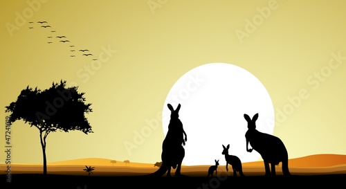 beauty silhouette of kangaroo family with sunset background