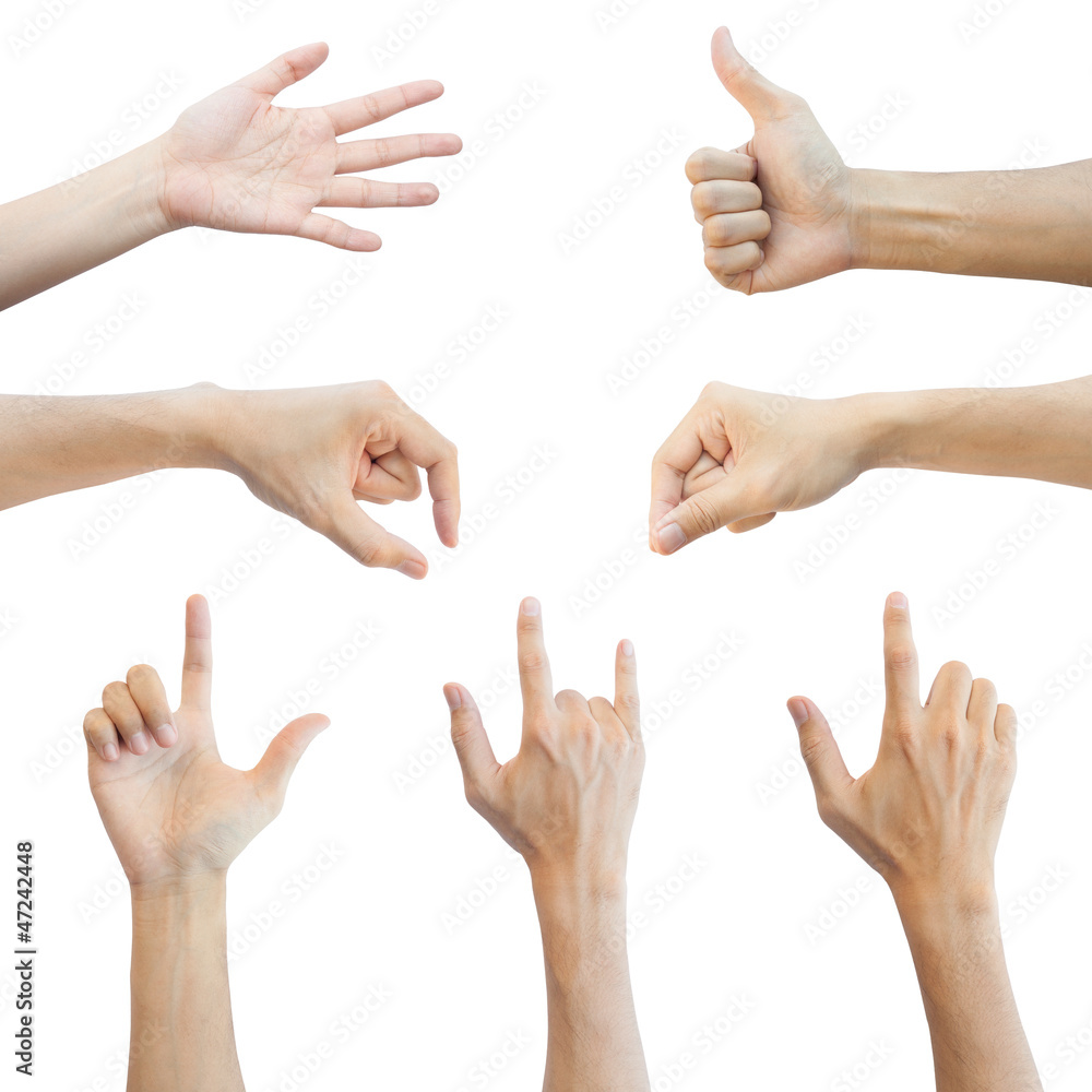 Photo Set of many different hands mix over white isolated backgr Photo Set of many different hands mix over white isolated backgr