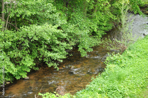 Alsace, a brook in Obernai in Bas Rhin