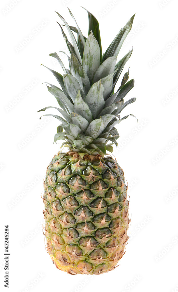 Pinapple