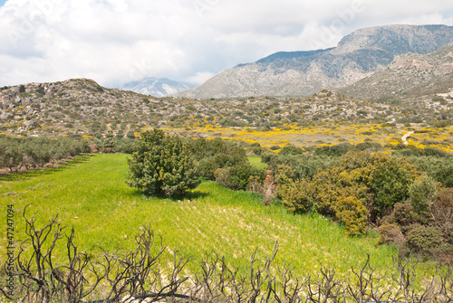 Schilderij op canvas Green hills and granite mountains in Crete