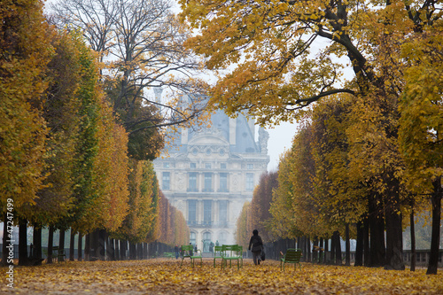 Herbst im Park Tuilerien in Paris photo