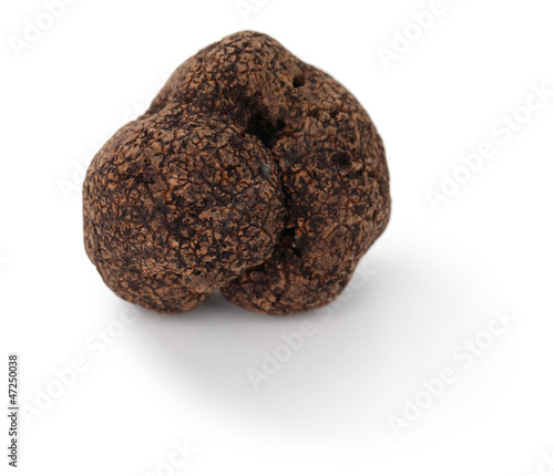 black truffle on a white background