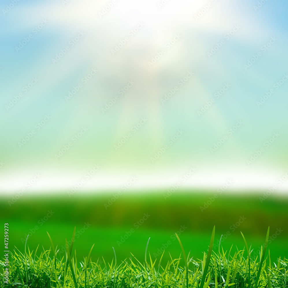 Obraz premium field at sunset