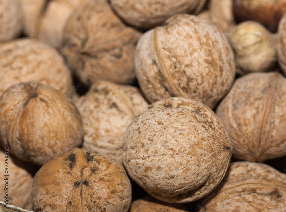 walnut. macro walnut. macro