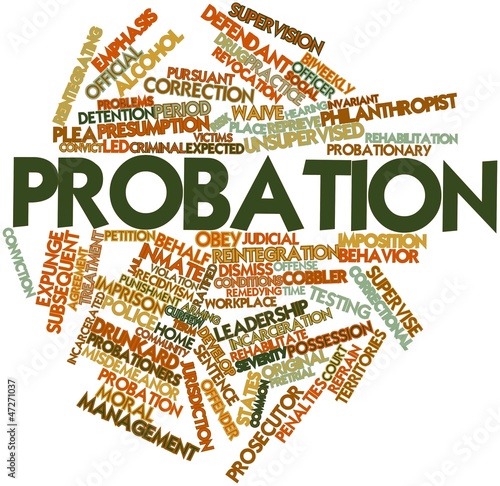 Word cloud for Probation