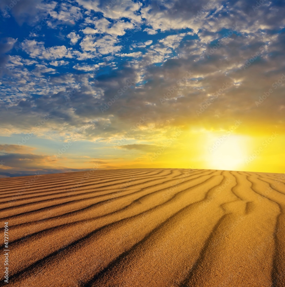 Naklejka premium sunset over a desert