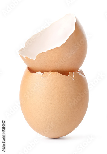 Empty egg shell