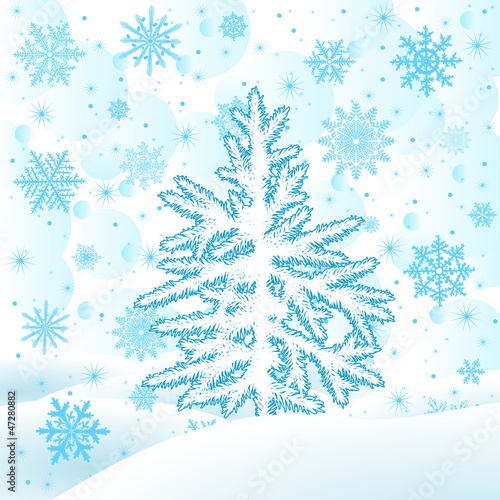 Christmas tree fir  on  a snow glade