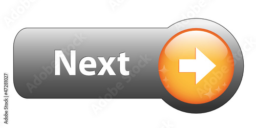 NEXT Web Button (continue internet validate submit click here)