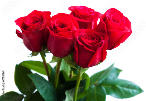 Bouquet of red roses