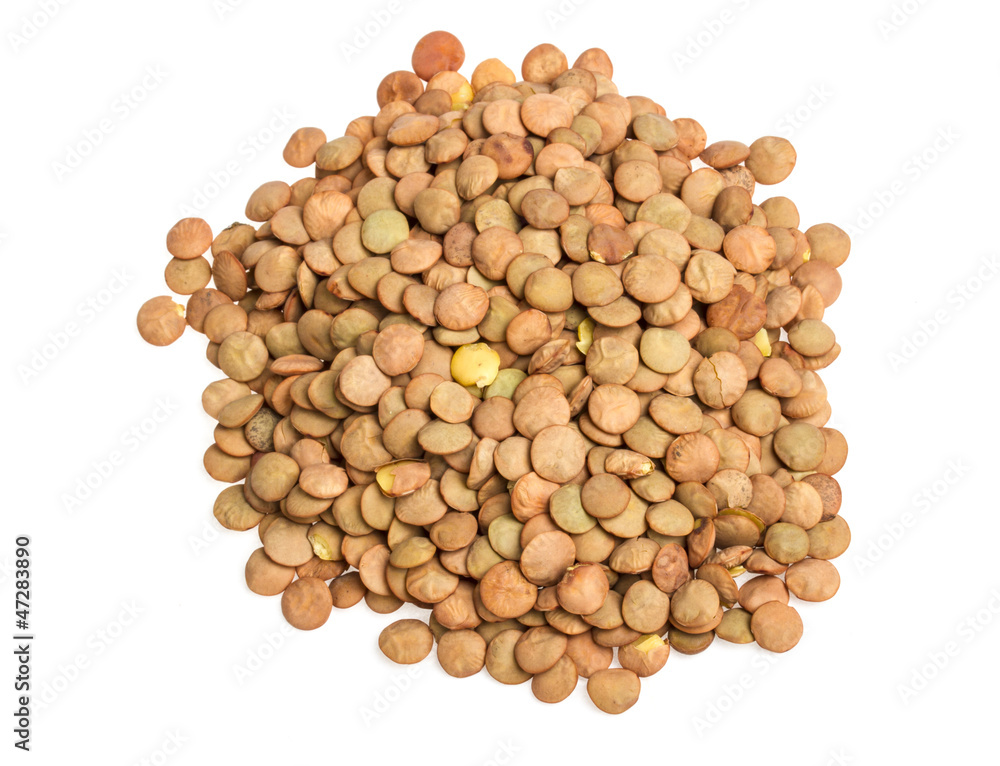Lentils Isolated on White Background Lentils Isolated on White Background