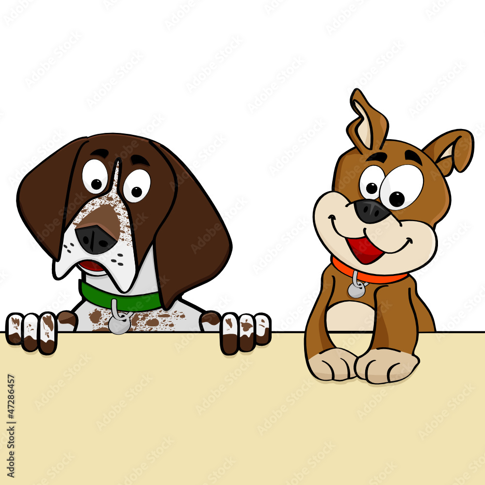 Fototapeta premium Dogs looking over wall