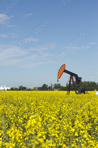 Oil Pump and Canola Field