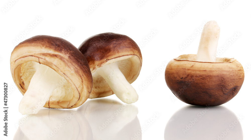 Fresh mushrooms isolated on white Fresh mushrooms isolated on white