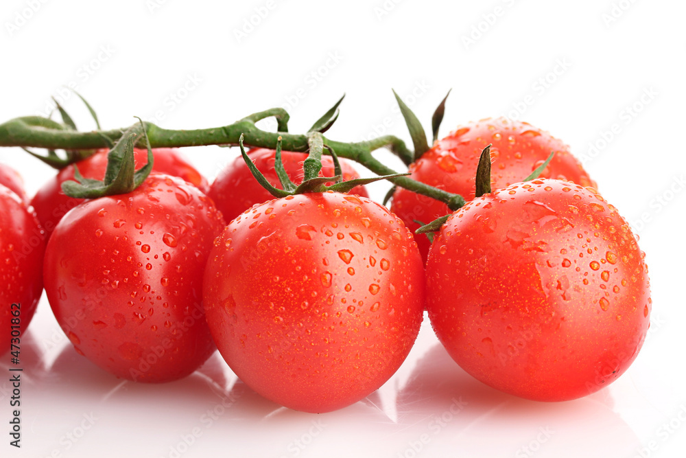 cherry tomatoes on a branch with drops isolated on white cherry tomatoes on a branch with drops isolated on white